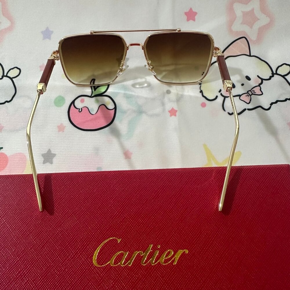 Cartier Brown Unisex Sunglasses - Picture 2 of 6